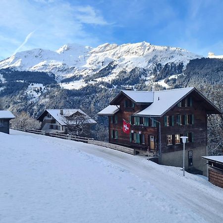 Traditional Chalet In Wengen - Top Floor Apartment Ngoại thất bức ảnh