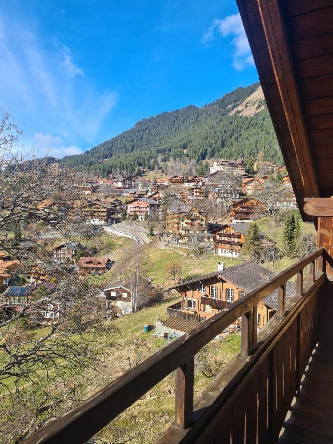 Traditional Chalet In Wengen - Top Floor Apartment Ngoại thất bức ảnh