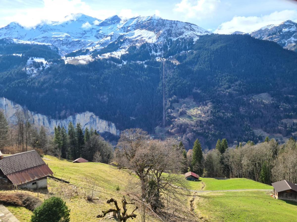 Traditional Chalet In Wengen - Top Floor Apartment Ngoại thất bức ảnh