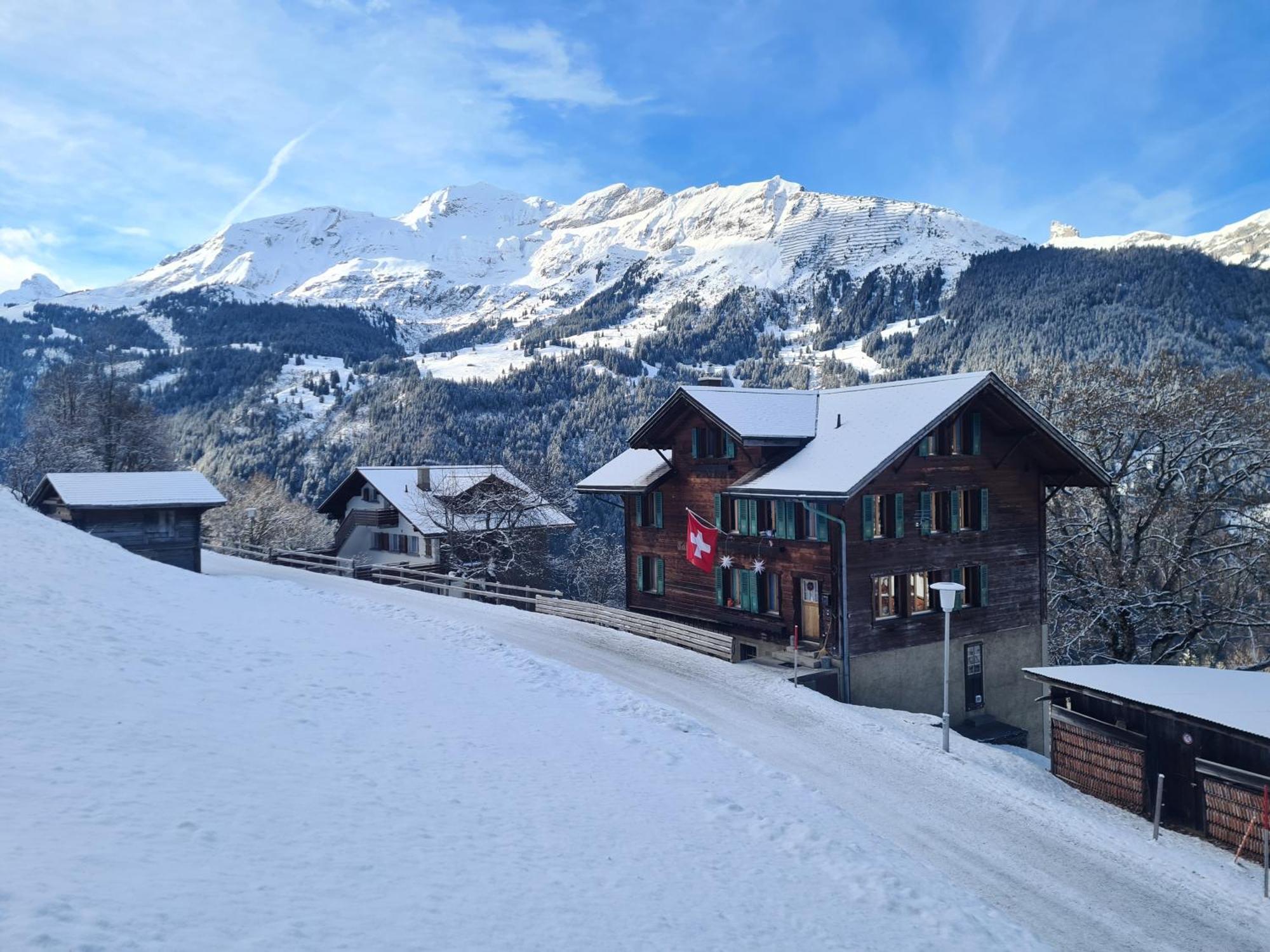 Traditional Chalet In Wengen - Top Floor Apartment Ngoại thất bức ảnh